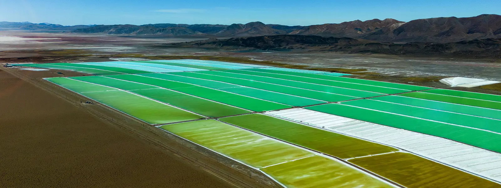 Sprott Homepage Sprott