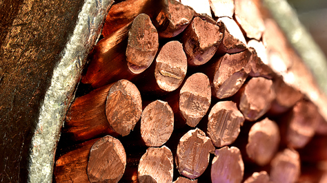 The Emerging Copper Premium: Policy Risk Meets Physical Scarcity