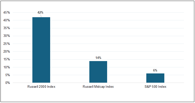 Figure 10. Small-Cap, Mid-Cap and Large-Cap Companies: Percentage of Companies with Negative Earnings