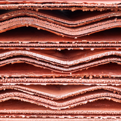 Adobestock 254668086