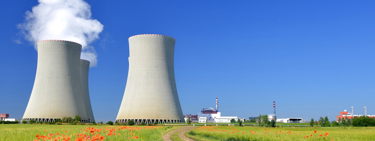 Top Banner Nuclear Power Poppies