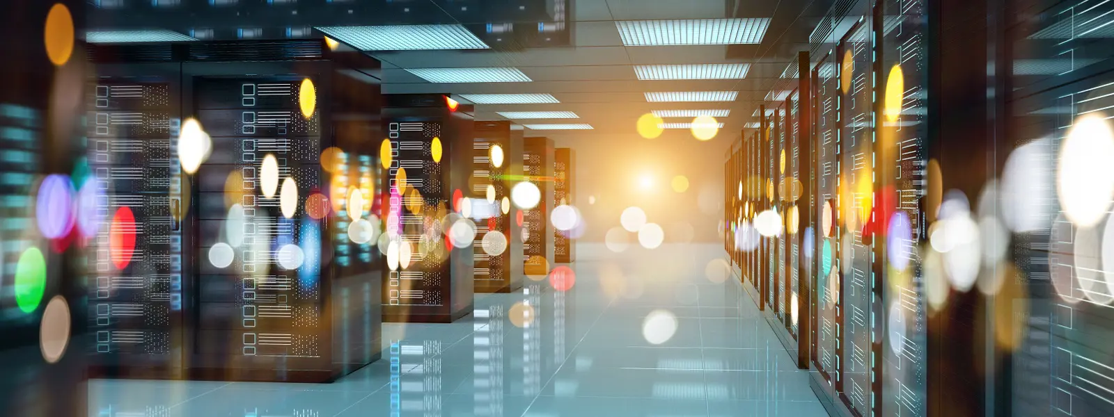 Sprott Homepage Sprott