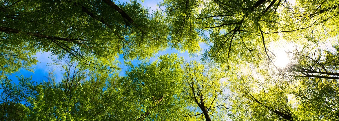 Critical Materials Start 2023 With a Bang