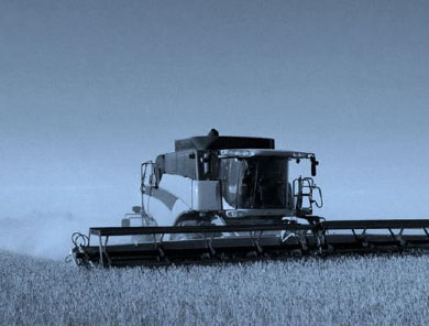 Agribusiness