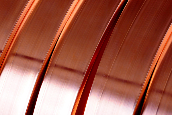 Shutterstock 593388302